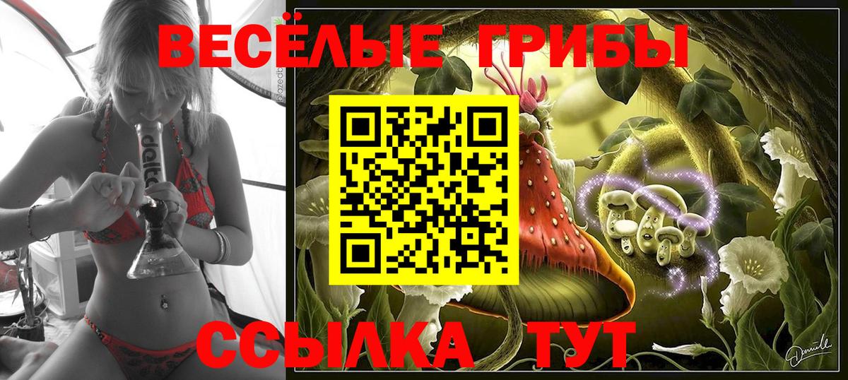 Псилоцибиновые грибы GOLDEN TEACHER Ревда