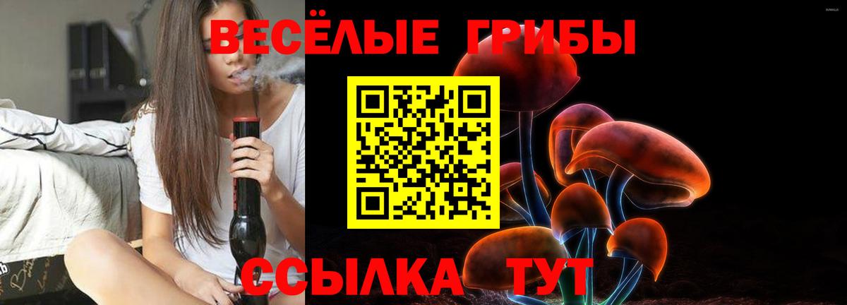 Ревда  продажа наркотиков  Вход с VPN  Псилоцибиновые грибы Psilocybine cubensis 
